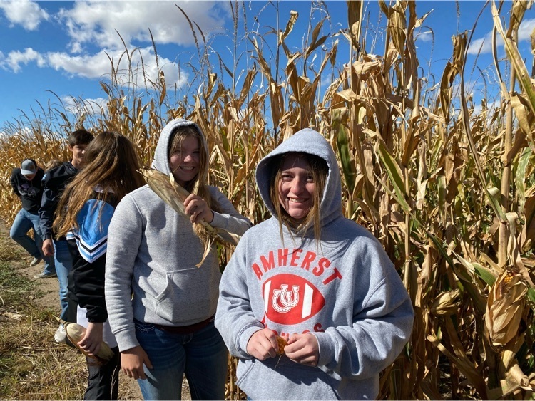Estimating Yields