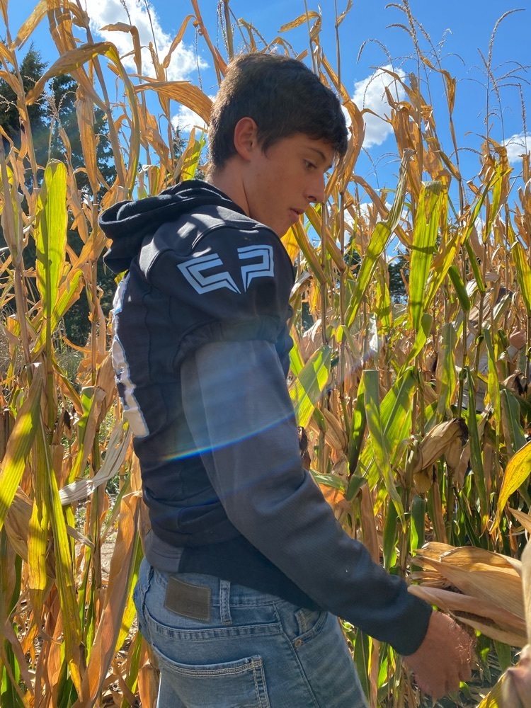 Estimating Yields